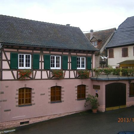 Villa Gite Au Nid De Cigognes Dieffenthal Exterior foto