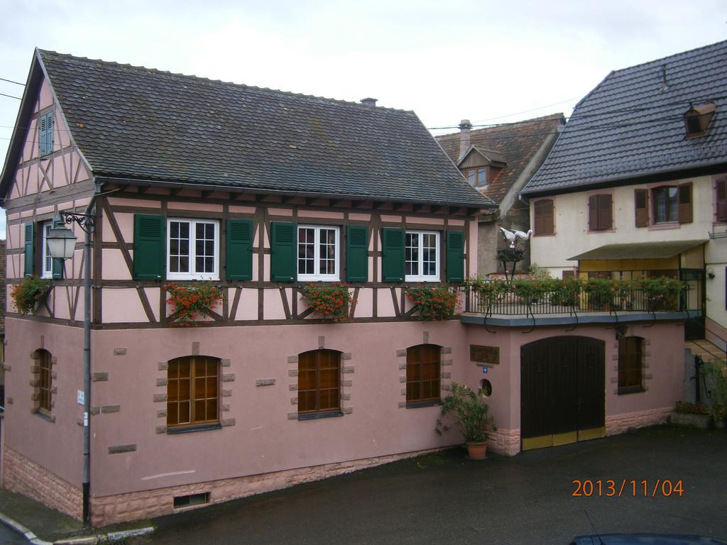 Villa Gite Au Nid De Cigognes Dieffenthal Exterior foto